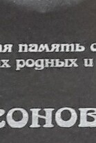 Описание изображения